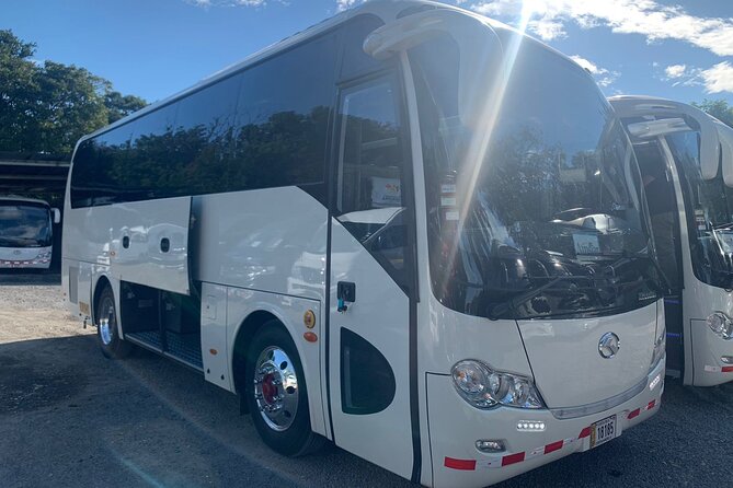 Private Transportation From San José Airport to Manuel Antonio - Pickup Details