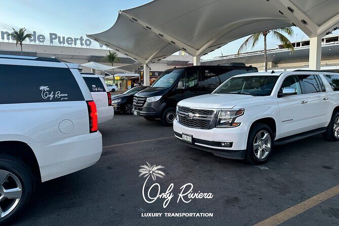 Private Transportation From Vallarta Airport To Punta de Mita - Who is This Transfer Best For?