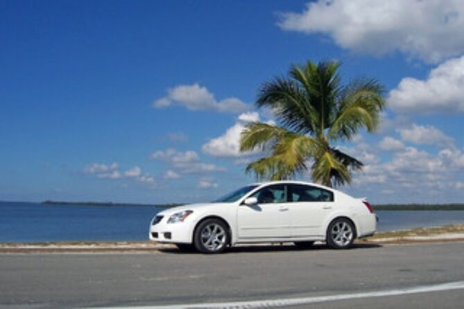 Private Transportation in Puerto Vallarta - Additional Information