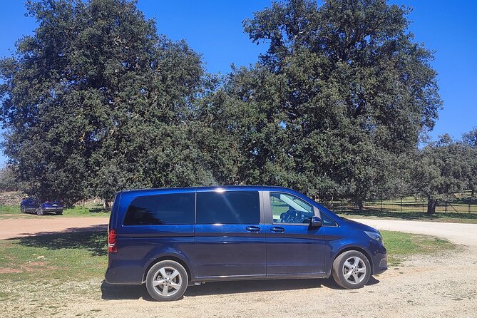 Private Transportation Ronda to Malaga for 6 Passengers - Service Overview