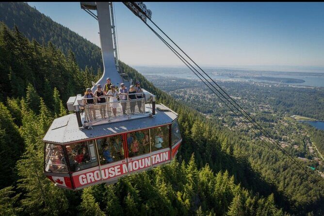 Private Transportation to Capilano Suspension Bridge Park - Good To Know