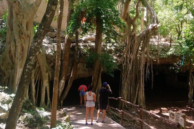 Private Transportation to Chichen Itza  Transportation Only - An In-Depth Look at What This Tour Offers