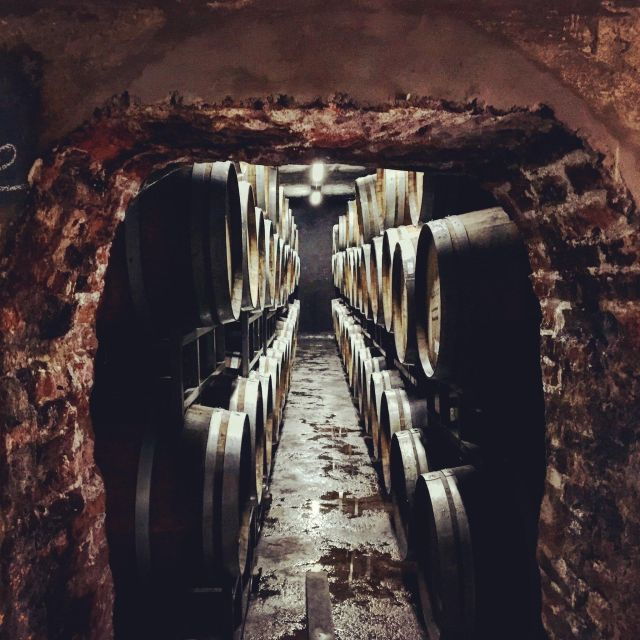 Private Trasfer to Wineries in Lujan De Cuyo/Maipu, Full Day - Good To Know