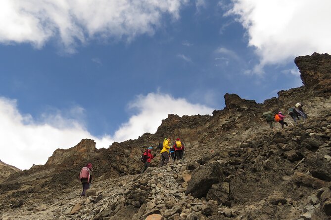 Private Trek Mountain Kilimanjaro via Shira Route - Inclusions and Exclusions