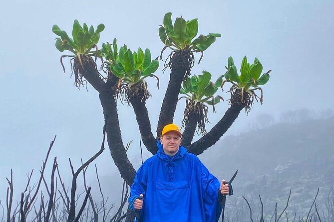 Private Trek Mountain Kilimanjaro via Shira Route - Meeting and Pickup Details