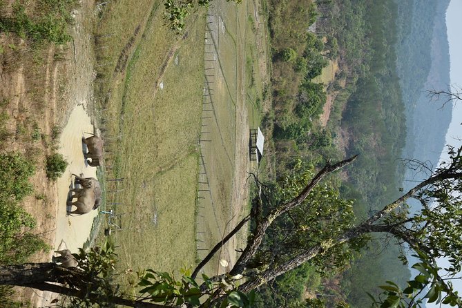 Private Trekking 1night 2 Days - Essential Packing List