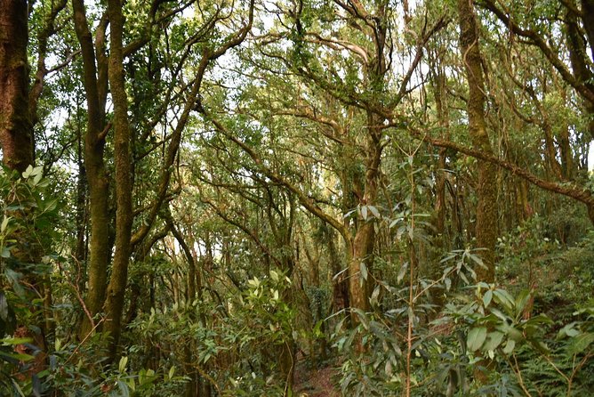 Private Trekking 1night 2 Days - Highlights and Sightseeing