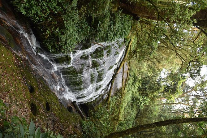 Private Trekking 1night 2 Days - Local Cuisine and Dining