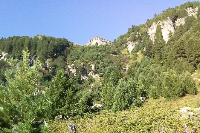 Private Trekking in Rila Mountains and Mt Mousala from Sofia - Introduction: Why Choose the Mousala Trek?