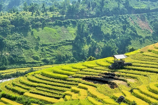 Private Trekking Through Terraces Rice Fields in Sapa - Weather Conditions and Rescheduling