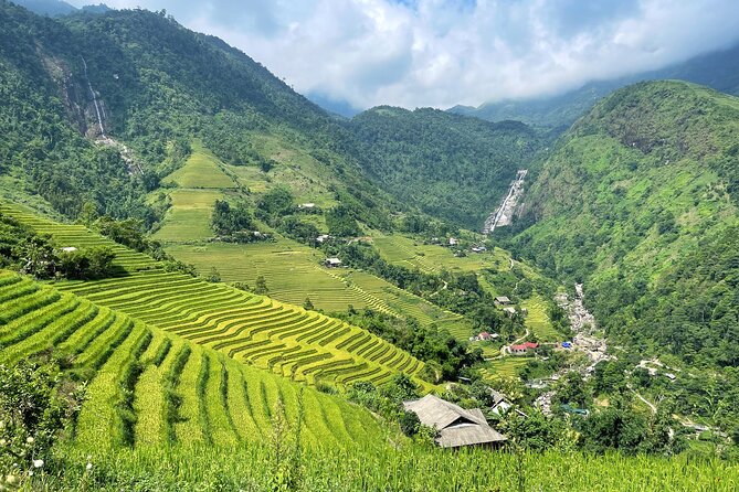 Private Trekking Through Terraces Rice Fields in Sapa - Common Questions