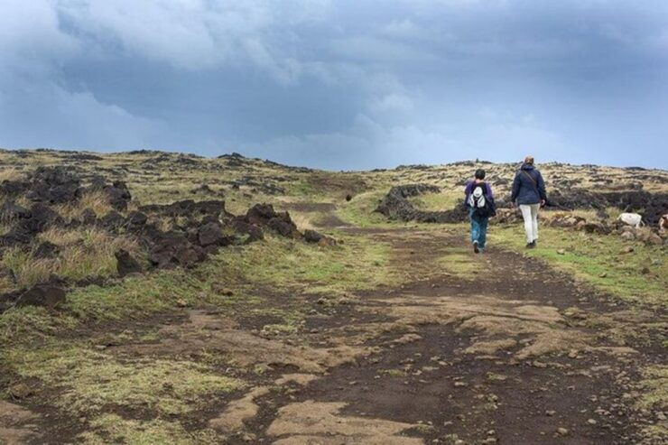 Private Trekking Tour: Easter Island Caves - Experience Highlights