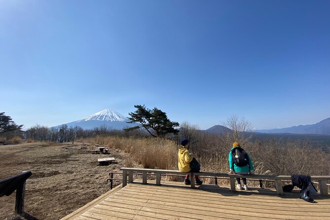 Private Trekking Tour for The Spectacular View of Mount Fuji - Tour Overview
