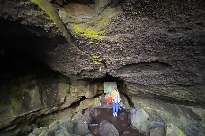 Private Trekking Tour for The Spectacular View of Mount Fuji - Price and Reviews