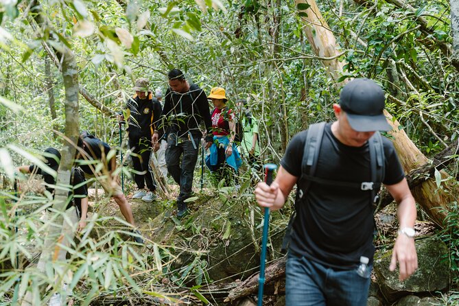 Private Trekking Tour in Phuquoc Primeval Forest and Picnic Lunch - Customer Reviews