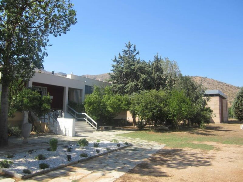 Private trip Athens-Marathon with a Pickup - An Authentic Journey into Greece’s Historic Heart