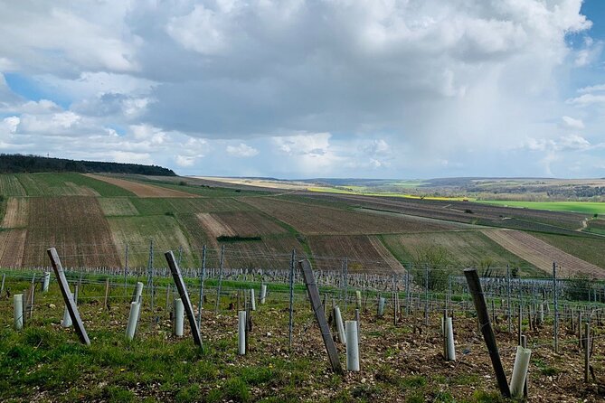 Private Trip Burgundy From Paris 15 Chablis Wines Tasting - Expert Guide Provided