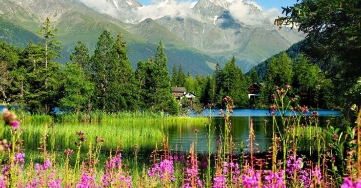 Private Trip From Geneva to Chamonix & Montreux - Booking Details