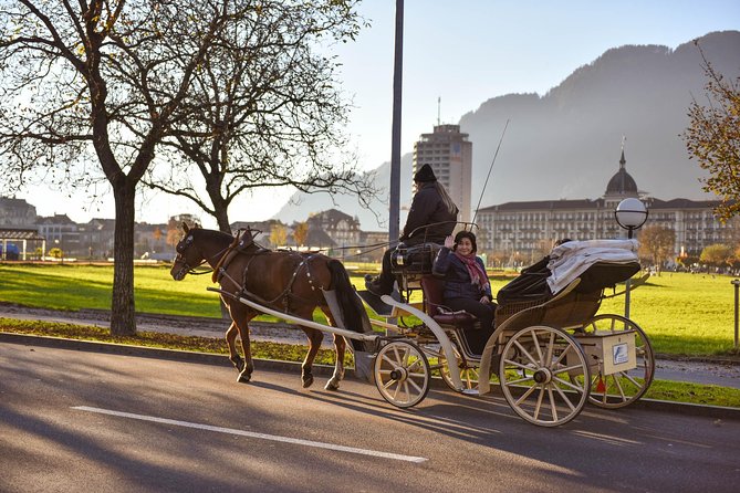 Private Trip From Geneva to the Swiss Capital - Bern & Paragliding in Interlaken - Cancellation and Refund Policy