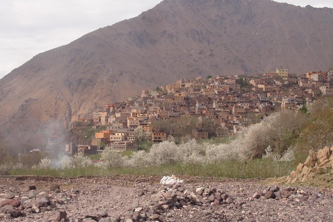 Private Trip From Marrakech to Atlas Mountains Waterfalls And Camel Ride - Trip Highlights