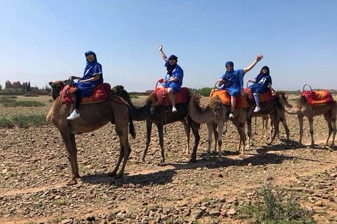 Private Trip From Marrakech to Atlas Mountains Waterfalls And Camel Ride - Itinerary Overview