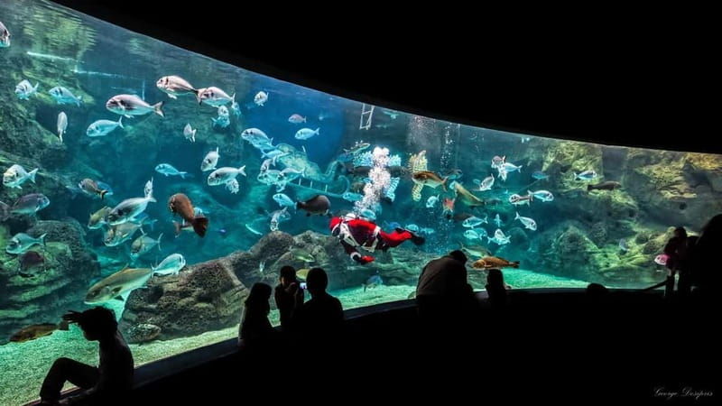 Private Trip From Rethymno to Dinosauria Park & Cretaquarium - Who Should Consider This Tour?