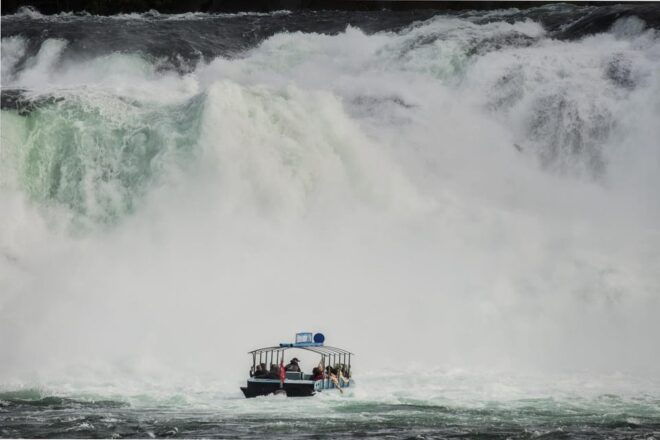 Private Trip From Zurich to Europes Largest Rhine Falls - Driver Information