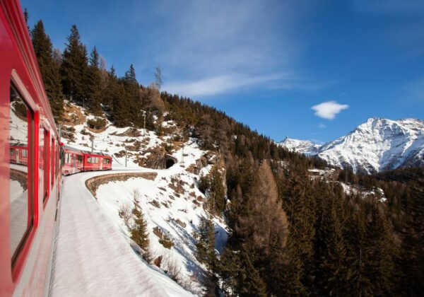 Private Trip From Zurich to Grindelwald & Interlaken - Reserve Now & Pay Later