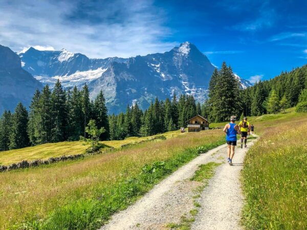Private Trip From Zurich to Grindelwald & Interlaken - Pickup Location & Duration