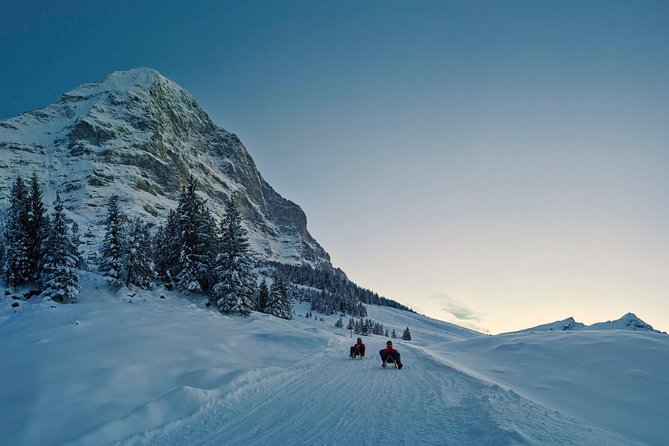 Private Trip From Zurich to Jungfraujoch (The Top of Europe) - Overview of Jungfraujoch
