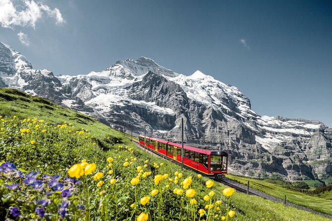 Private Trip From Zurich to Jungfraujoch (The Top of Europe) - Pickup Details