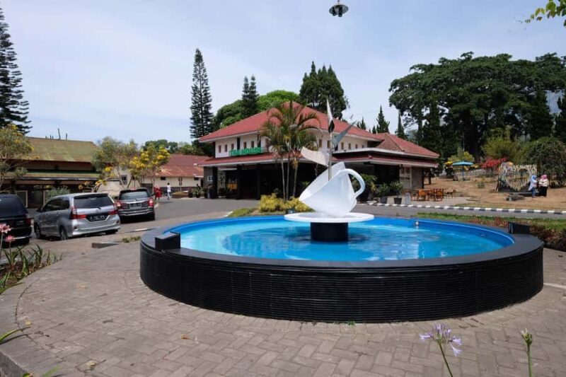 Private Trip Malang/Surabaya : Tour Tea Plantation Wonosari - Who Is This Tour Best Suited For?