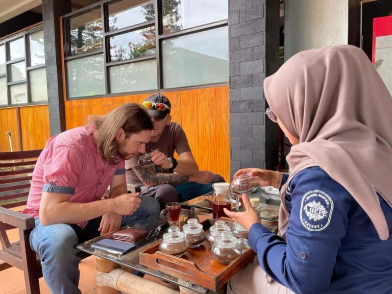 Private Trip Malang/Surabaya : Tour Tea Plantation Wonosari - FAQ: Common Questions About the Wonosari Tea Garden Tour