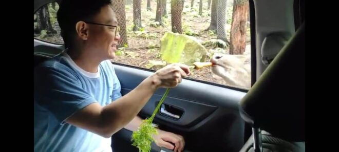 Private Trip Safari Park From Surabaya/Malang (All Inclusive) - Included Amenities