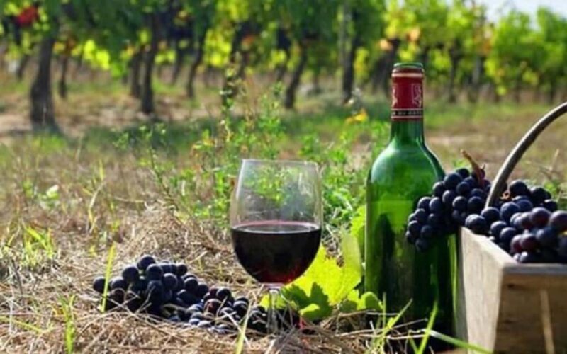 Private Trip: Tatev Ropeway-Shaki Waterfall-Wine Degustation - Analyzing the Value and Practicalities