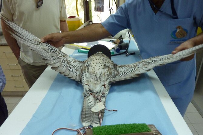 Private Trip to Abu Dhabi Mosque and Falcon Hospital - Directions