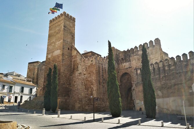 Private Trip to Carmona From Seville: 5000 Years of History - Captivating Views and Scenic Landscapes