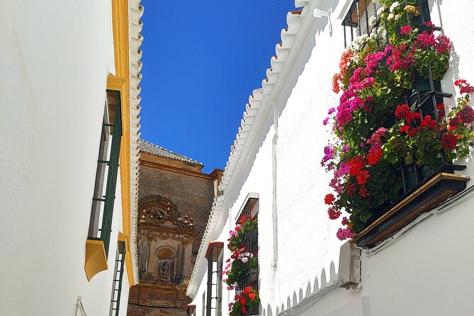 Private Trip to Carmona From Seville: 5000 Years of History - Recommendations for a Memorable Trip to Carmona