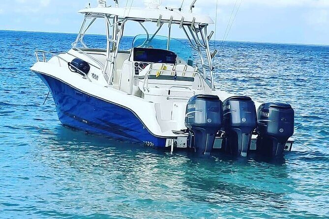 Private Trip to Cayo Icacos Island - The Sum Up: Is This Tour Right for You?