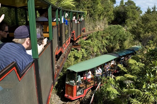 Private Trip to Coromandel - Best Time to Visit