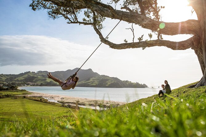 Private Trip to Coromandel - Transportation Options