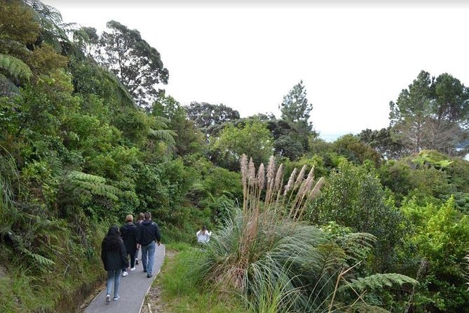 Private Trip to Coromandel - Tips for a Memorable Experience