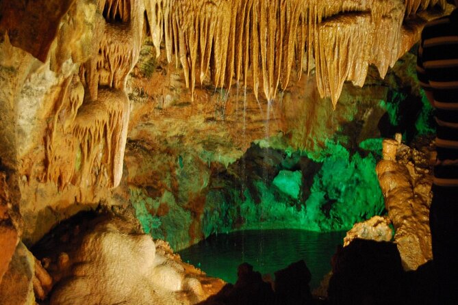 Private Trip to Fátima Caves and Battle From Port - Experience
