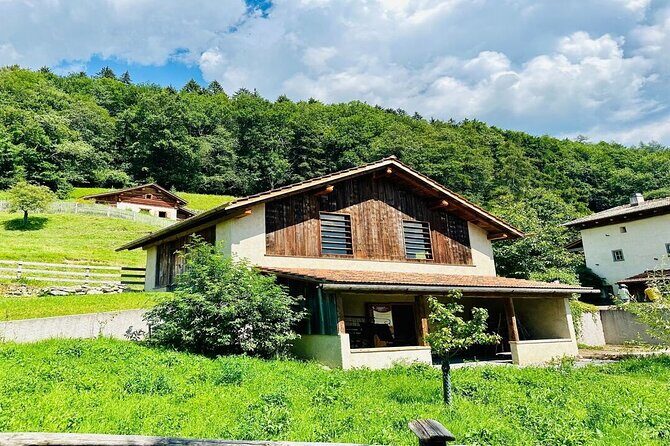 Private Trip to Heidi World Family Day from Zurich - Practical Details and What You Need to Know