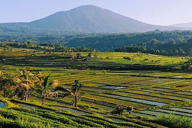 Private Trip to Jatiluwih Rice Terrace UNESCO World Temples - Trip Highlights