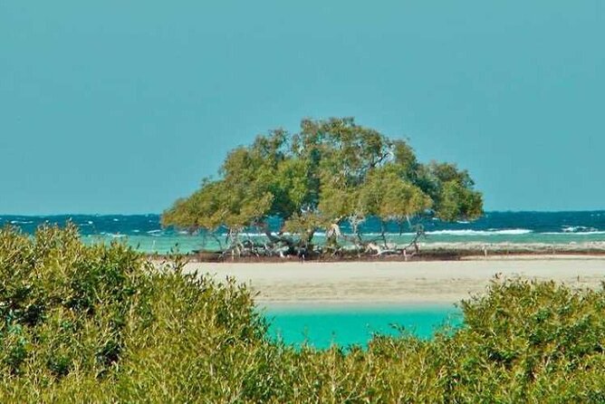 Private Trip to Sharm El Lulli and Wadi El Qulaan From Marsa Alam - Destination Highlights