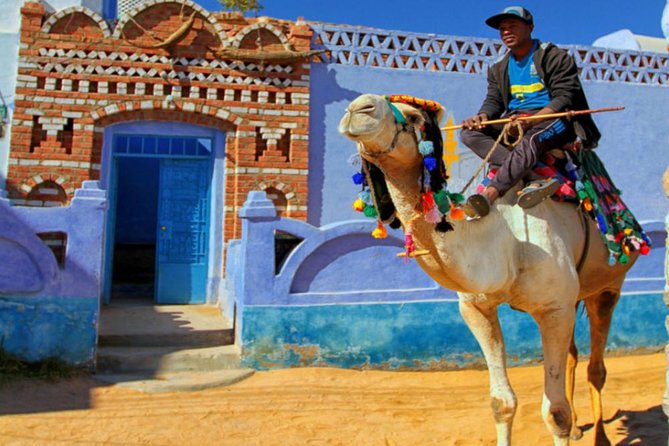 Private Trip to the Nubian Village by Motorboat in Aswan - Exclusive Private Tour Experience