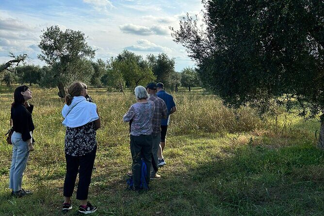 Private Trip to the Vineyards of Ginosa with tasting from Matera - What Makes This Tour Stand Out?