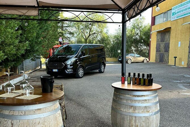 Private Trip to the Vineyards of Ginosa with tasting from Matera - Who Is This Tour Best For?