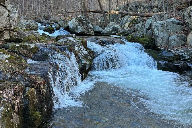 Private Trout Fishing Excursion in Virginia - Good To Know